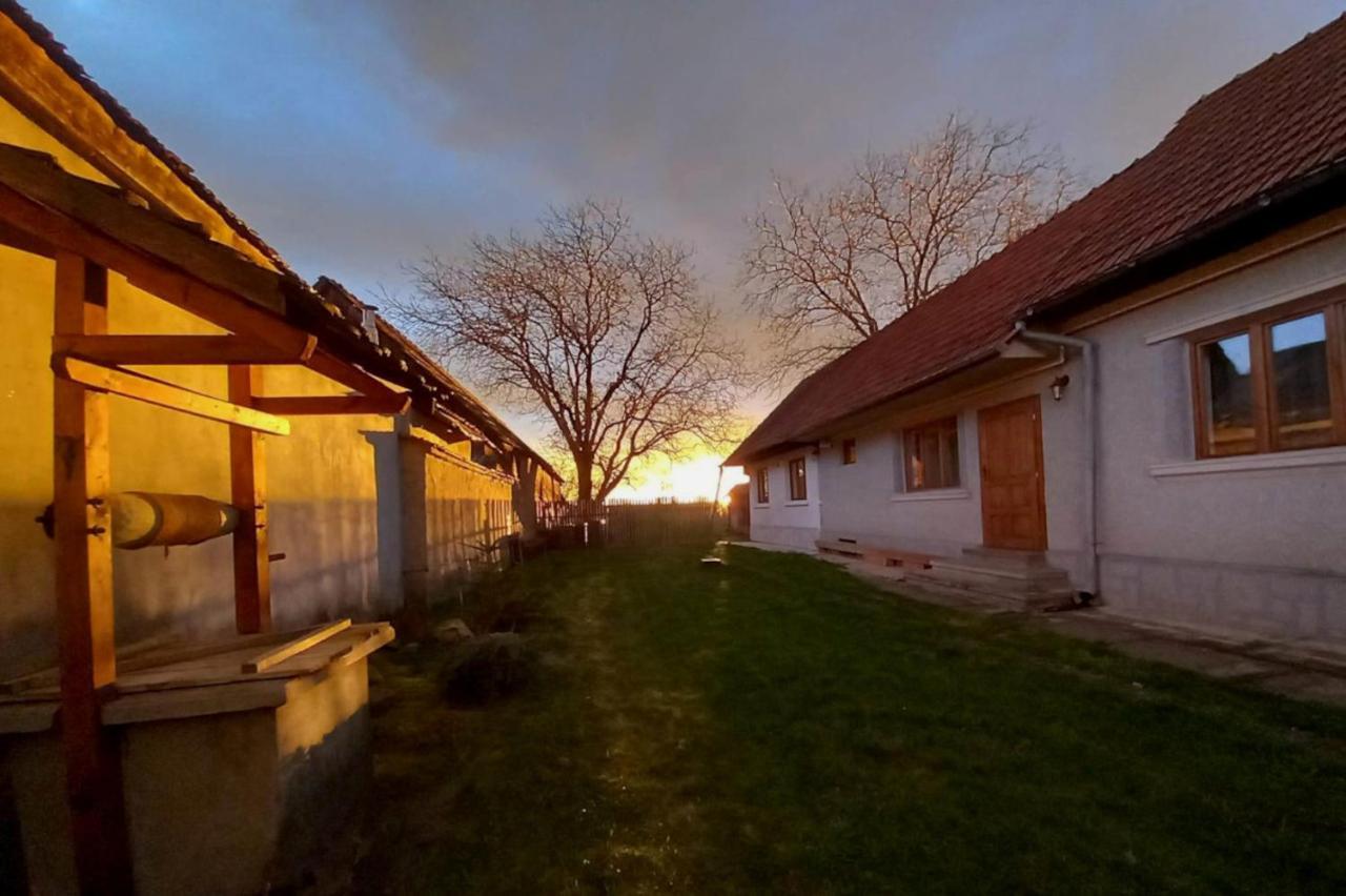 Pensjonat Galeria Turismului Montan Cîrţişoara Zewnętrze zdjęcie