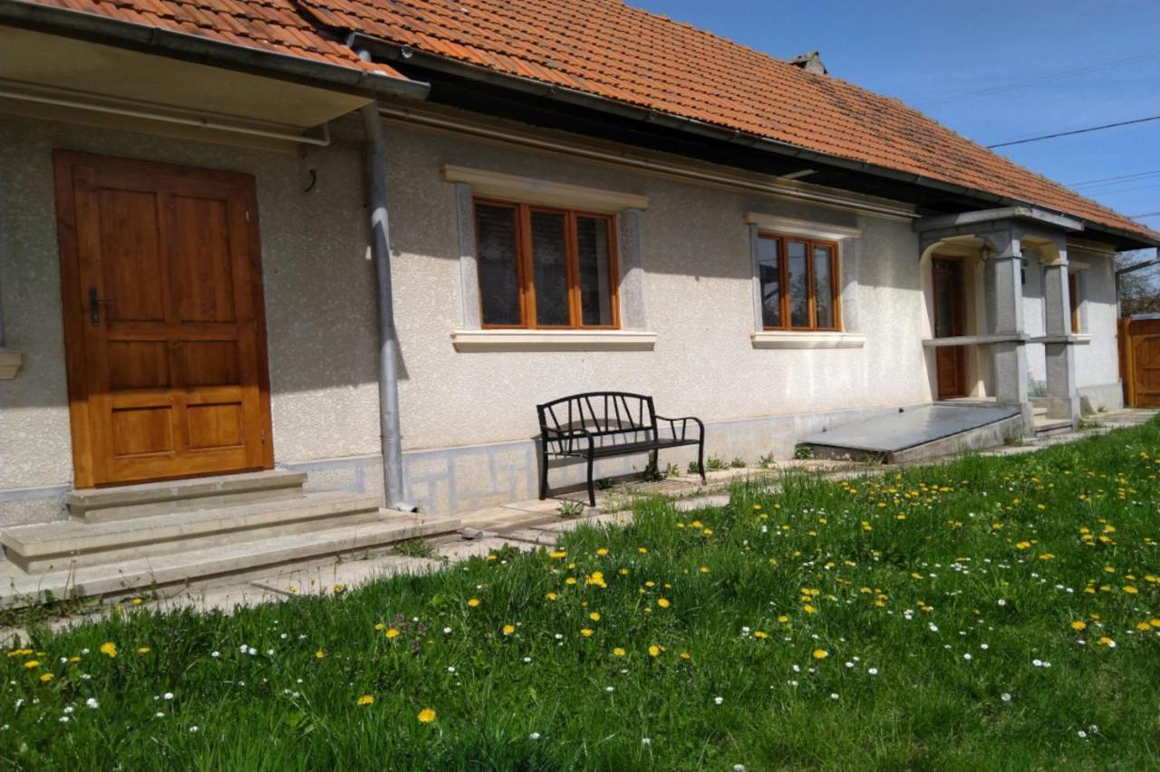 Pensjonat Galeria Turismului Montan Cîrţişoara Zewnętrze zdjęcie