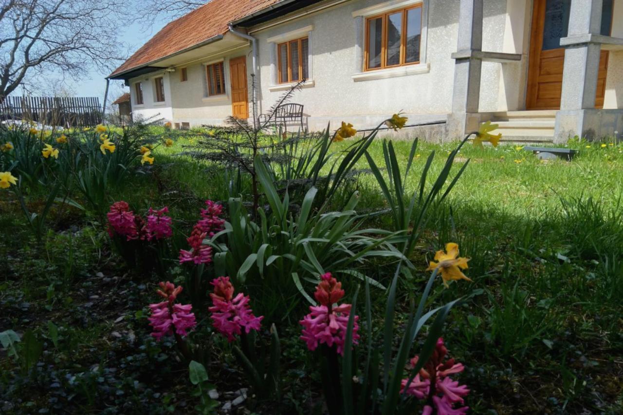 Pensjonat Galeria Turismului Montan Cîrţişoara Zewnętrze zdjęcie